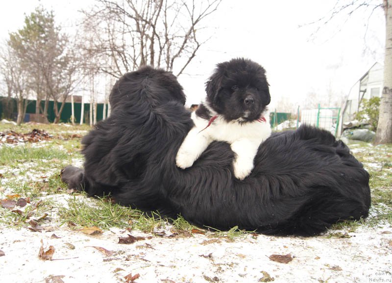 Фотография № 166198