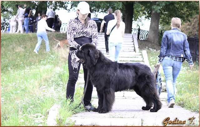 Фотография № 166200