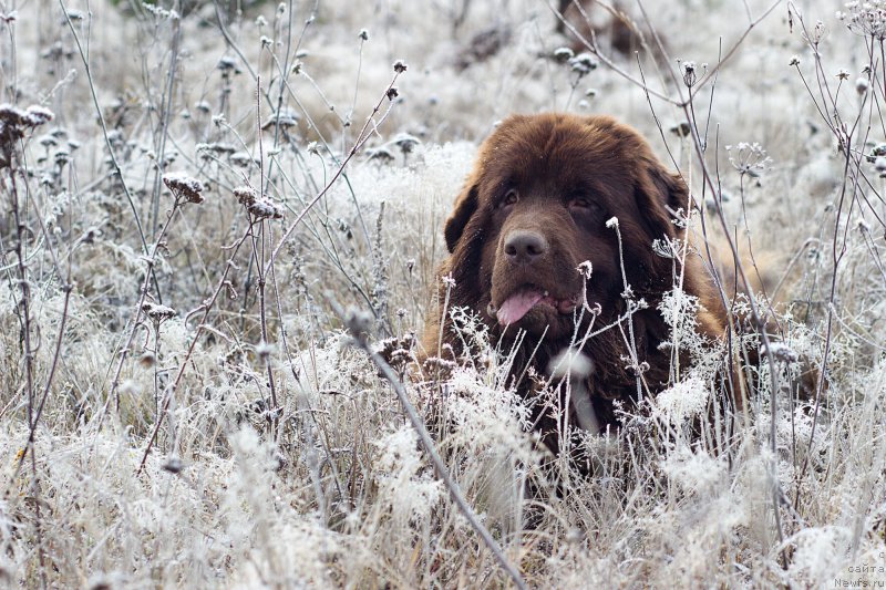 Фотография № 166204