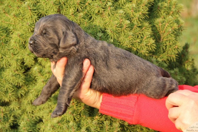 Фотография № 166216