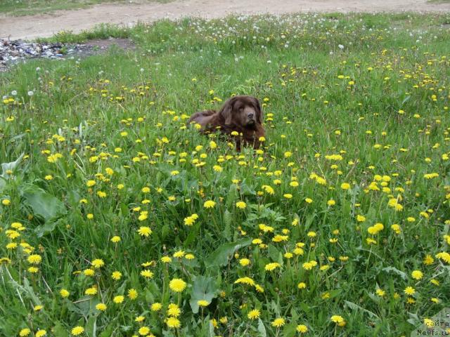 Фото: Светлана Плотникова