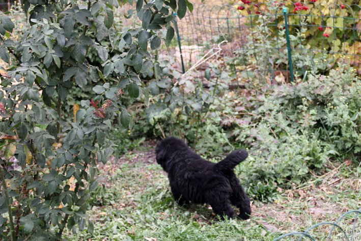 Фотография № 166268