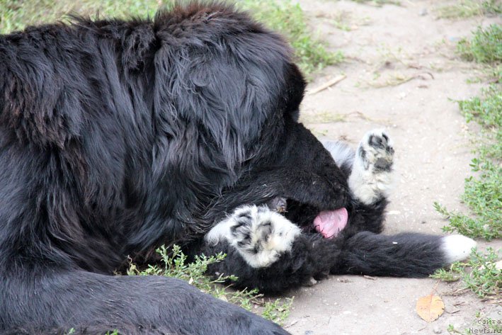 Фотография № 166274