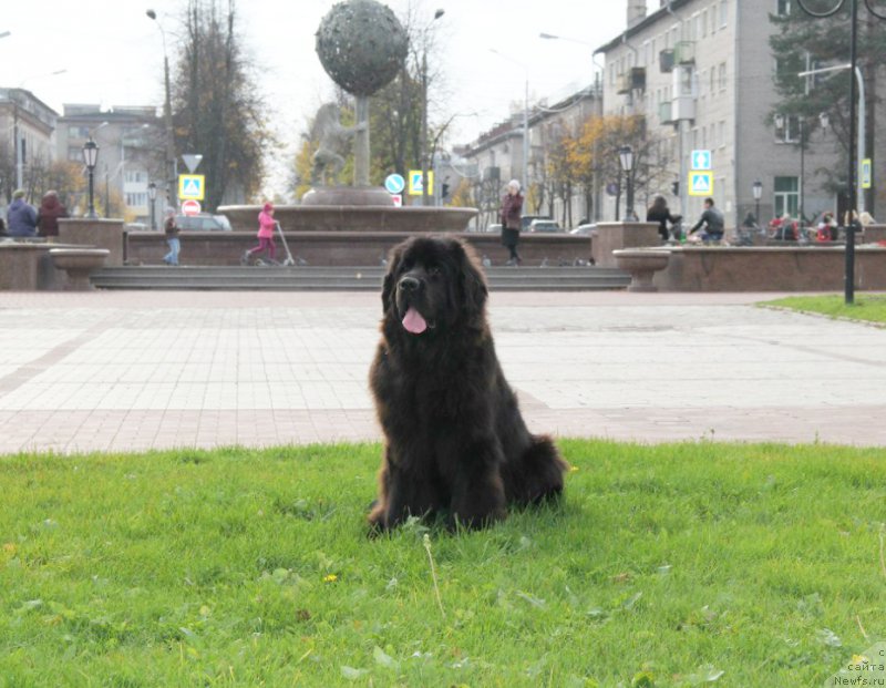 Фотография № 166282