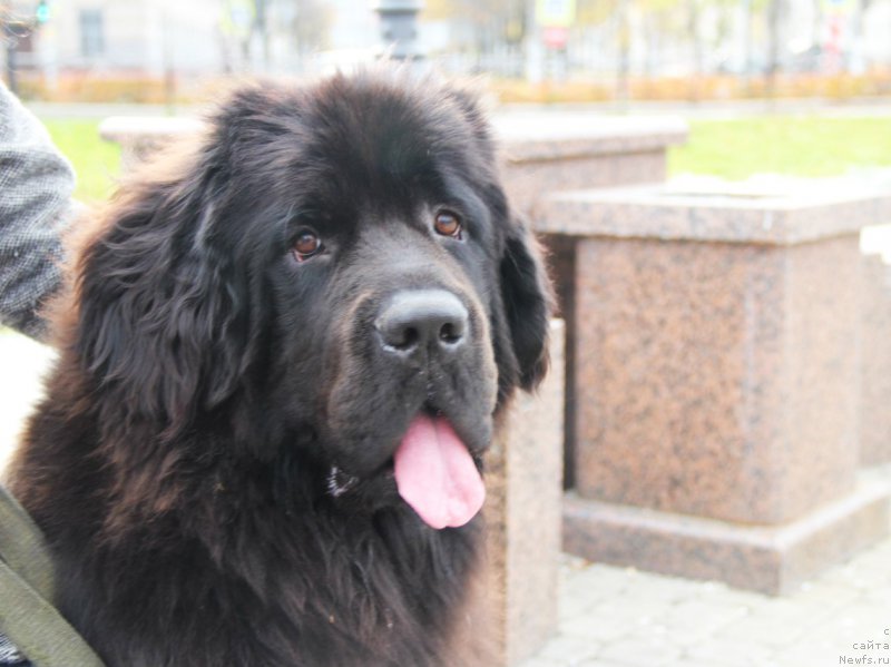 Фотография № 166284