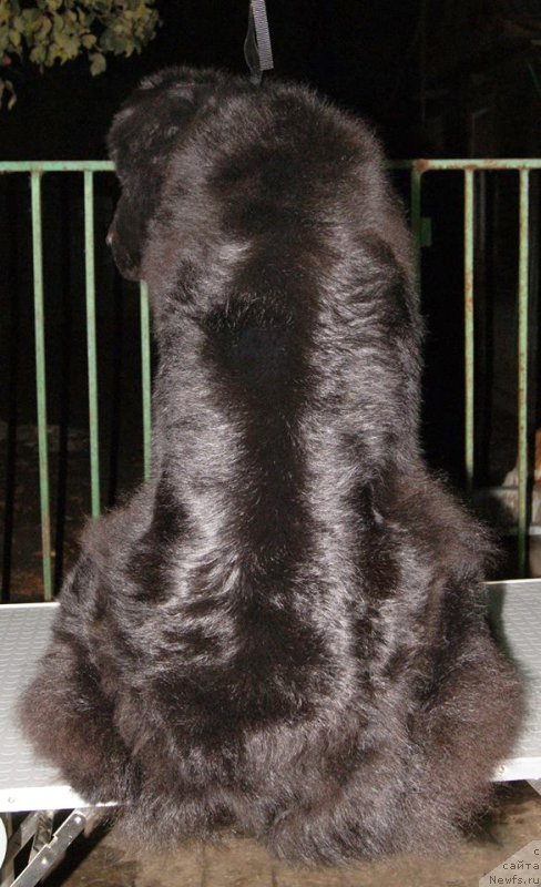 Фотография № 166286