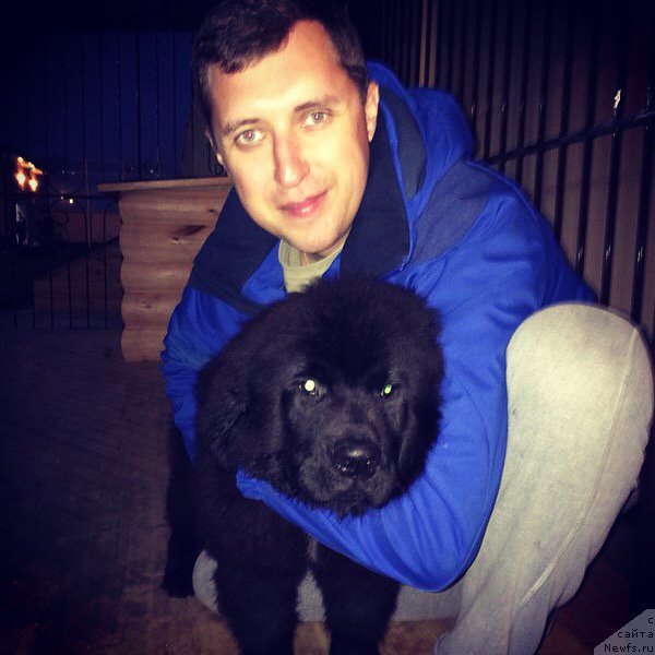 Фотография № 166289