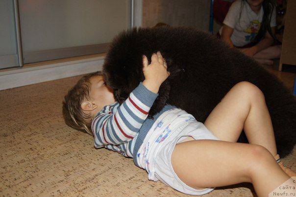 Фото: Черный Шарм Дензел Вашингтон