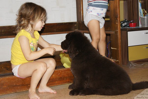 Фото: Черный Шарм Дензел Вашингтон