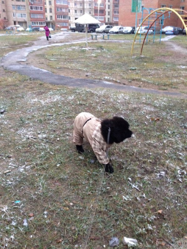 Фотография № 166301