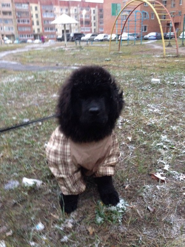 Фотография № 166302