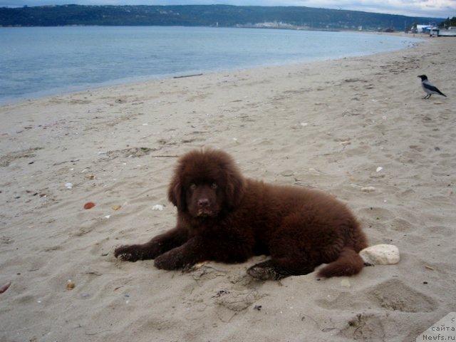 Фотография № 166316