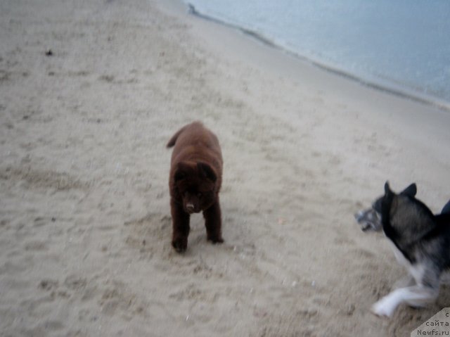 Фотография № 166318