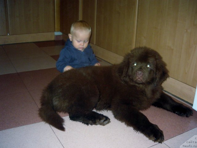 Фотография № 166321