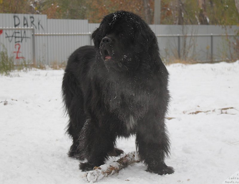 Фотография № 166339