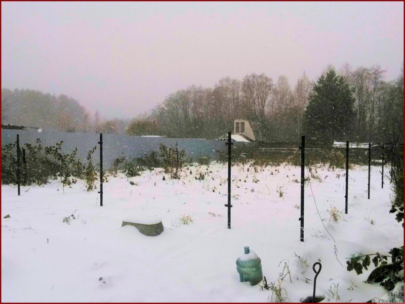 Фотография № 166342