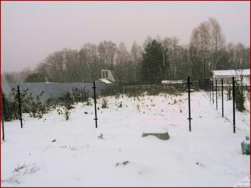 Фотография № 166343