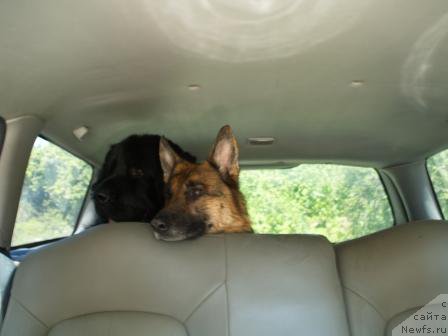 Фотография № 166344