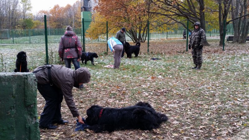 Фотография № 166354