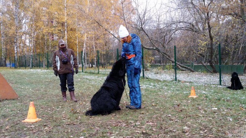 Фотография № 166359