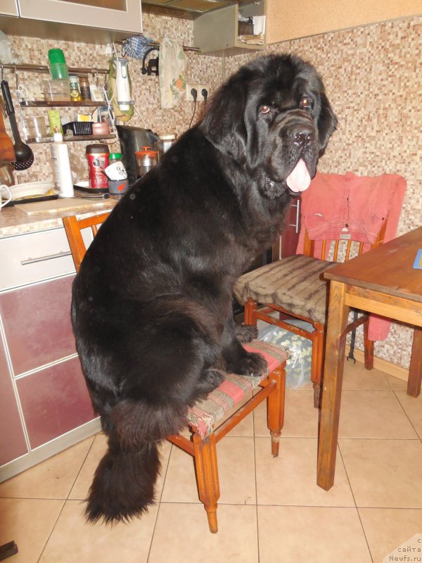 Фотография № 166375