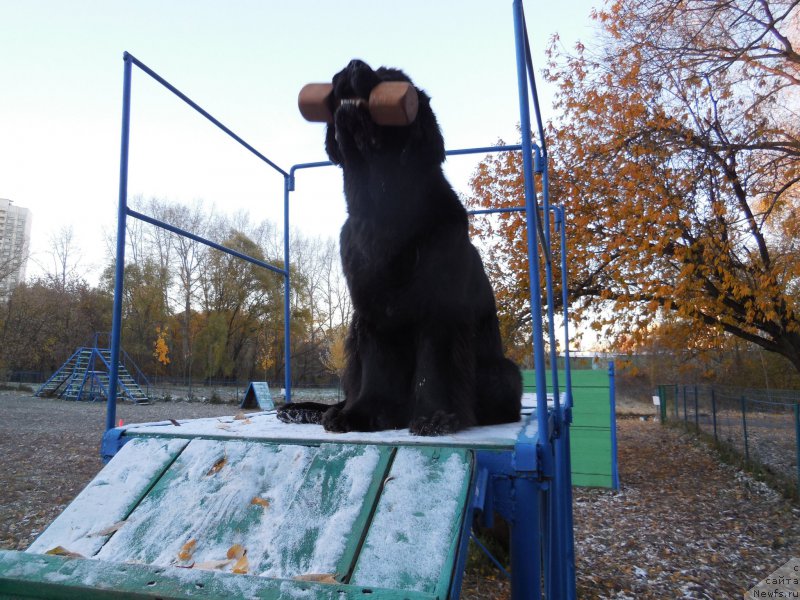 Фотография № 166381