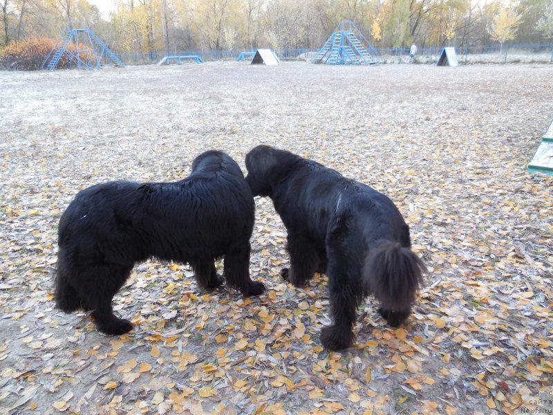 Фотография № 166384