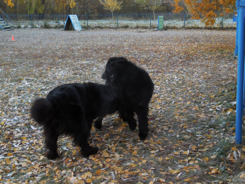 Фотография № 166385