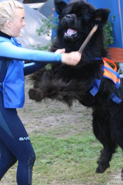 Фотография № 16639