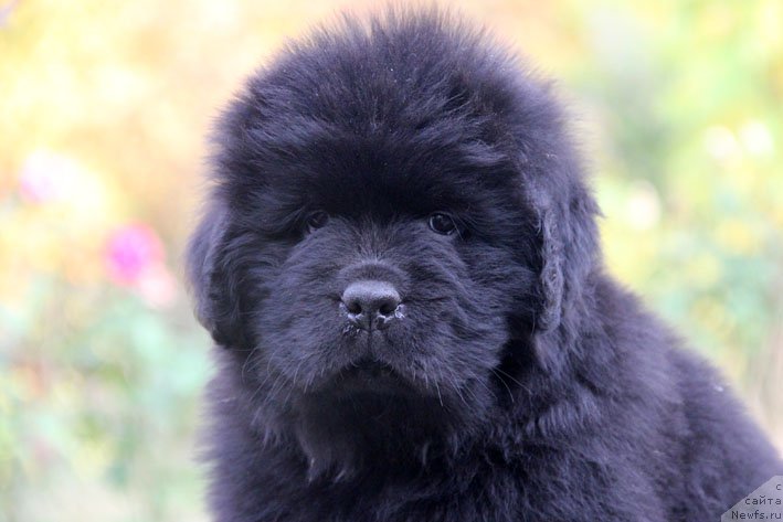 Фотография № 166392