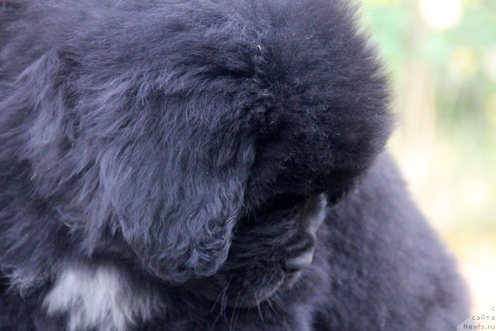 Фотография № 166393