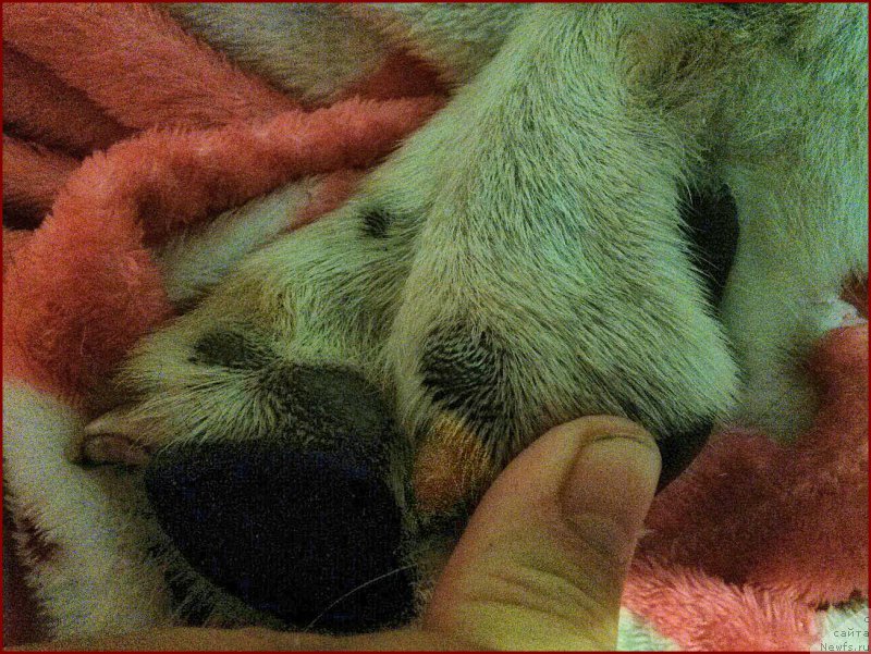 Фото: Лена Зырина, ФРАНКО