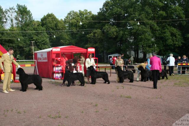 Фотография № 16642