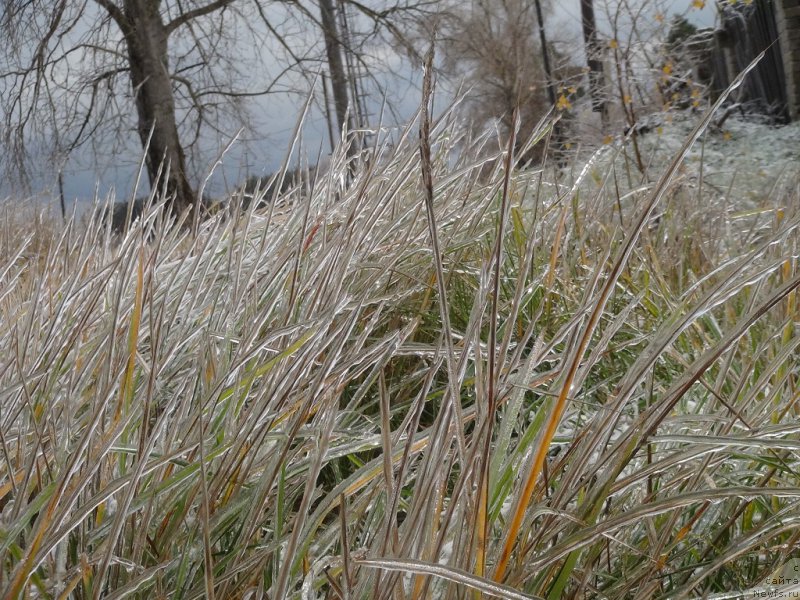 Фотография № 166423