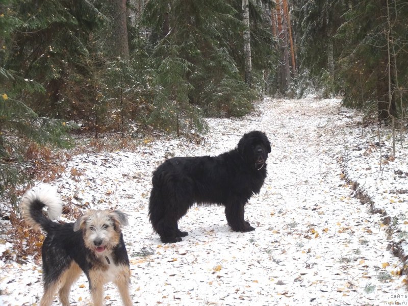 Фотография № 166424