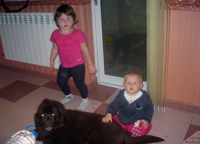 Фотография № 166429