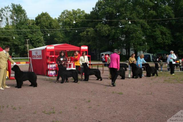 Фотография № 16643