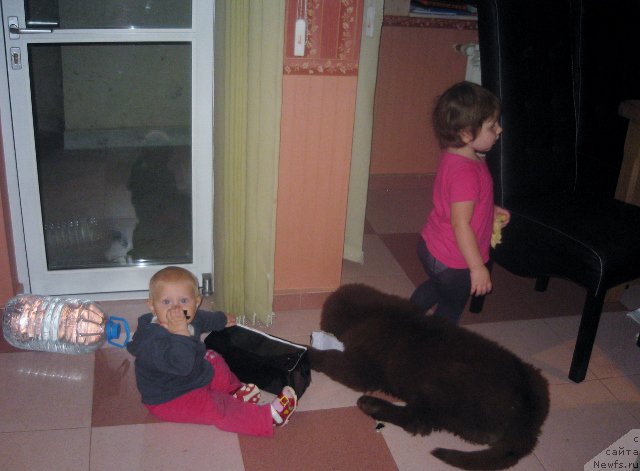 Фотография № 166432