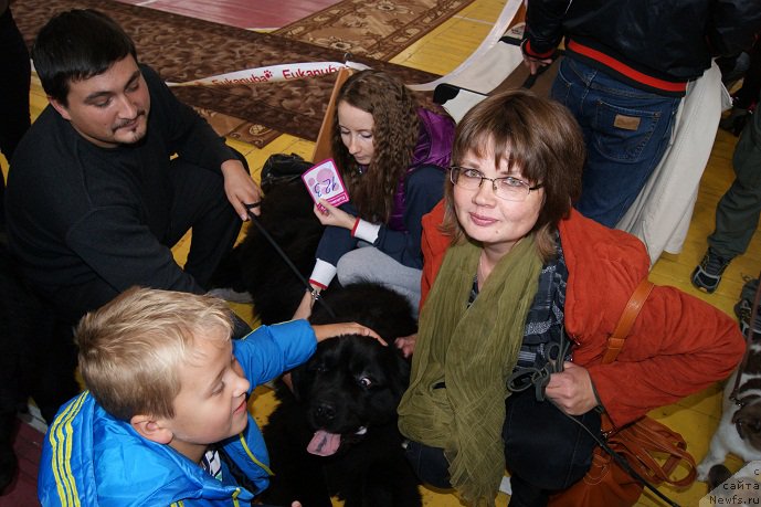 Фото: ньюфаундленд Супер Премиум Оникс, Светлана Приходько