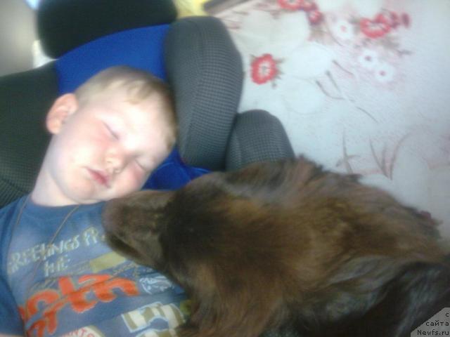 Фотография № 16647