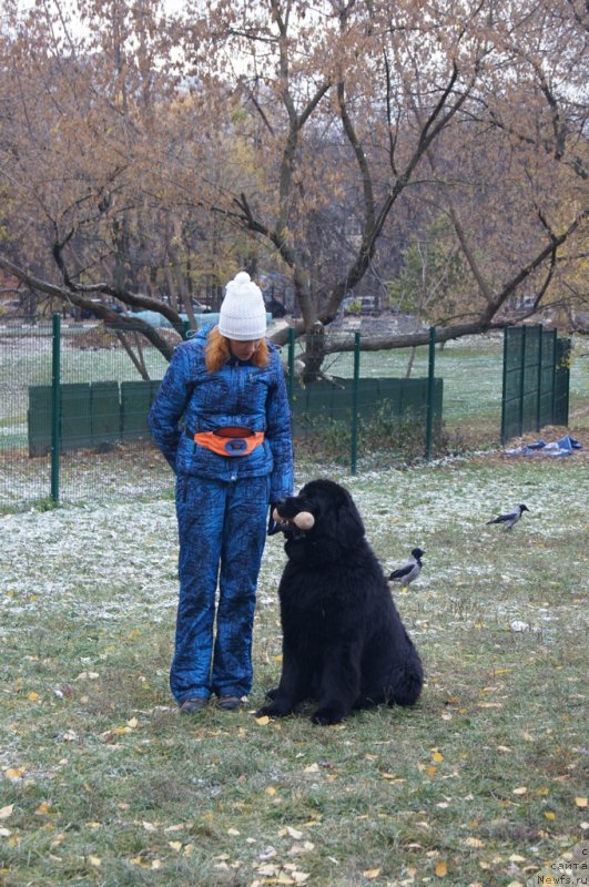 Фотография № 166485