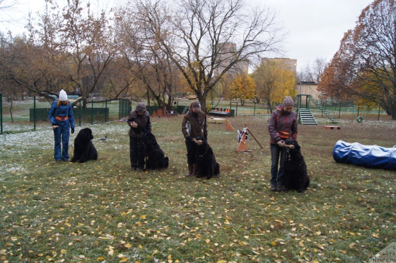 Фотография № 166486