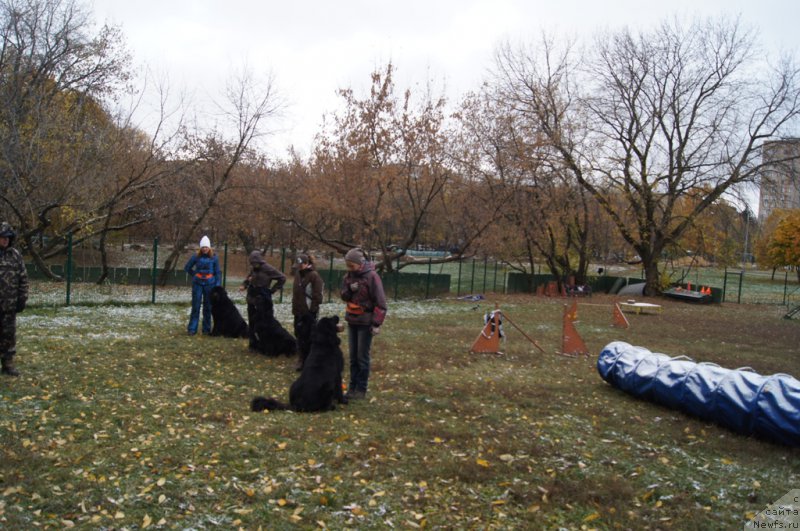 Фотография № 166487