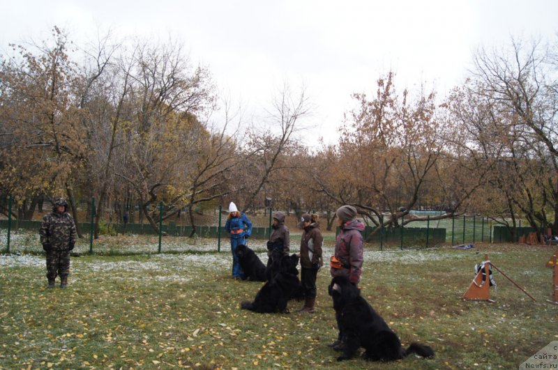 Фотография № 166488