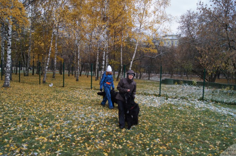 Фотография № 166496