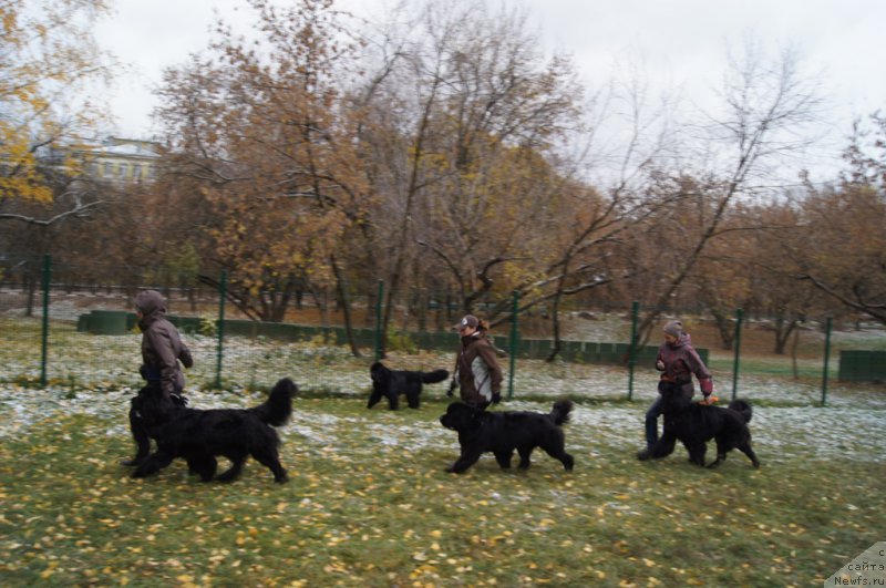 Фотография № 166500