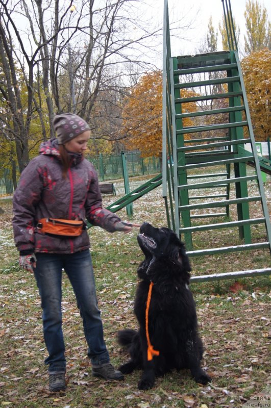 Фотография № 166505