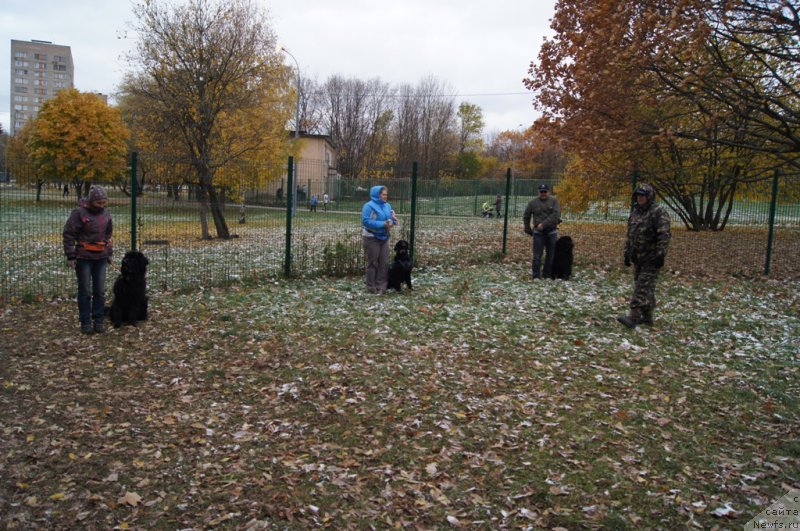 Фотография № 166516