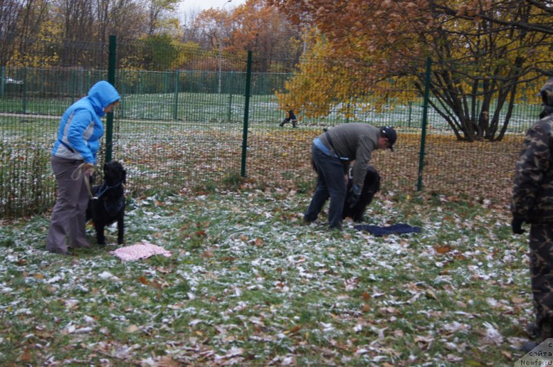 Фотография № 166518