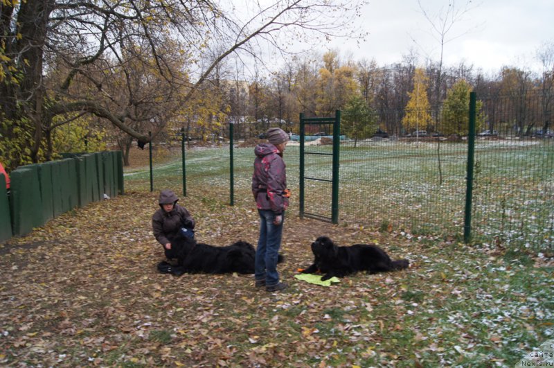 Фотография № 166521